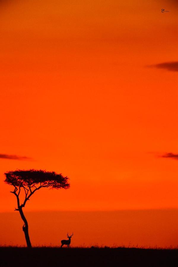 Lorian Safari Camp Limited Otel Narok Dış mekan fotoğraf