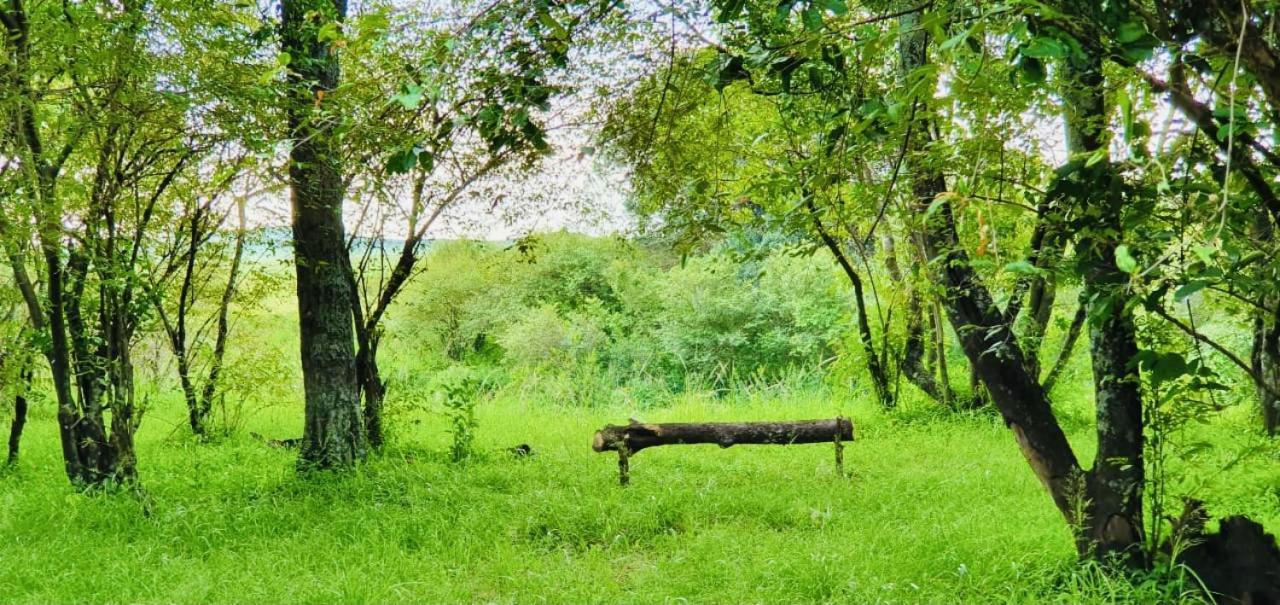 Lorian Safari Camp Limited Otel Narok Dış mekan fotoğraf